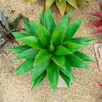 Fake Plants Artificial Agave Plants Indoor, UV Resistant Fake Agave Planters Outdoor Decorating.Artificial Plants for Outdoors Decor(1Pack,22') Spring Decorations for Home