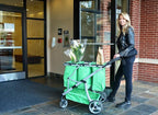 Reusable and Foldable 3 Shopping Bags Easy for Shopping and Carrying Groceries in Store (Silver Frame + 3 Green Baskets)
