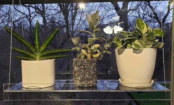 Hanging Acrylic Shelves for Windows (28" Wide, 1 Shelf - 26" Tall)