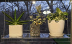 Hanging Acrylic Shelves for Windows (22" Wide, 5 Shelves - 66" Tall)
