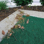 PIG Coir Storm Drain Filter with Magnets | Over The Drain Sediment Filter| for Storm Drains up to 26" W x 26" L | Green | PMB30619