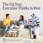 Artificial Fiddle Leaf Fig Tree 3ft (36 Inch) Tall - with Remote LED Spotlight - Realistic Faux Potted Plant & Moss for Living Room & Office Decor