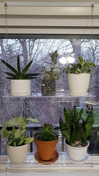Hanging Acrylic Shelves for Windows (16" Wide, 2 Shelves - 35" Tall)