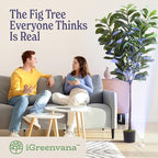 Artificial Fiddle Leaf Fig Tree | 6ft Realistic Fake Tall Plant | Odor-Free Floor Plant Fig Tree w/Black Pot, Faux Moss, Rechargeable LED Spotlight, Remote, USB Cable; Large Fake Plants/Big Plants