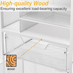 Rolling File Cart with 2 Drawers, White File Cabinet Organizer for Hanging File Folders, Letter-Size File Storage with Wheels, Multi-Layer Mobile Filing Cabinet for Office and Home, White