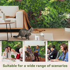 Artificial Grass Wall Boxwood Plant Panel: 20"x20"(6P) UV Resistant Green Leaves Faux for Interior Wall Backdrop,Garden and Indoor Outdoor Wall&Fence Covering Privacy，Party Wall Fence Decor