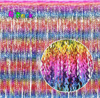 4 Pack Wavy Rainbow Foil Fringe Curtain | 3.3x6.6ft Colorful Tinsel Metallic Streamers Holiday Photo Booth Props Backdrop for Engagement Bridal Shower Unicorn Party Decorations