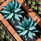 Fake Plants Artificial Agave Plants 13.8" Large UV Resistant Fake Agave Planters for Indoor and Outdoor Decorating Tropical Plant Succulents Greenery Indoor Decor (Blue) 2Pack