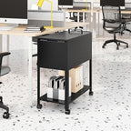 Mobile File Cabinet, 2 Tier File Cart with Wheels Hanging Files, Metal Rolling Cart with Lock and Sliding Cover for Office, Mailrooms, Cubicles, Classrooms, Libraries, Black