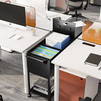 Mobile File Cabinet, 2 Tier File Cart with Wheels Hanging Files, Metal Rolling Cart with Lock and Sliding Cover for Office, Mailrooms, Cubicles, Classrooms, Libraries, Black