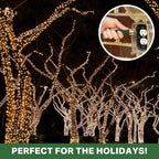 13 Amp Outdoor Extension Cord 15 ft, 16/3 SJTW 15ft Green Extension Cord 3 Prong, Weatherproof for Outdoor Lights, Landscaping & Lawn - US Veteran Owned