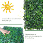 Artificial Grass Wall Panels:16" X 12" 6P (8 sqft) UV-Anti Greenery Boxwood Backdrop for Indoor Outdoor Green Wall Decor & Ivy Fence Covering Privacy