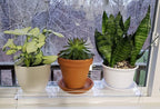Hanging Acrylic Shelves for Windows (28" Wide, 1 Shelf - 26" Tall)