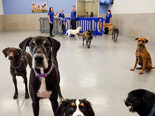 Billboard Barricade 42x96 Plastic Pedestrian Barricade- Blue