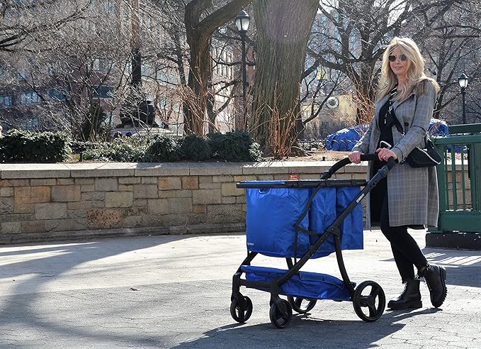 Reusable and Foldable 3 Shopping Bags Easy for Shopping and Carrying Groceries in Store (Silver Frame + 3 Blue Baskets)