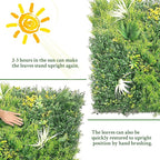 Artificial Grass Wall Boxwood Panels: 40" x 40" (11.5 sqft) Greenery Ivy Privacy Fence Faux Backdrop with UV Protection Vine Leaf Hedge for Garden Covering Privacy, Home Decor