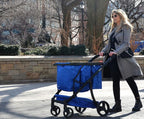 Reusable and Foldable 3 Shopping Bags Easy for Shopping and Carrying Groceries in Store (Silver Frame + 3 Blue Baskets)